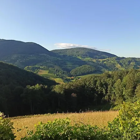 Serenity Chalet Dramlje