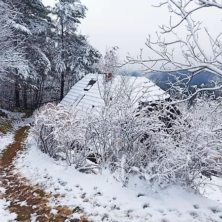 Σαλέ Serenity Dramlje