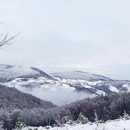 Serenity Dramlje