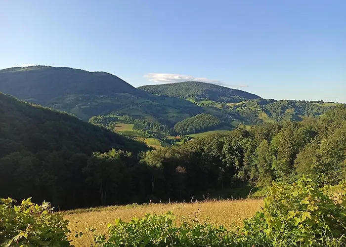 Serenity 샬레 Dramlje